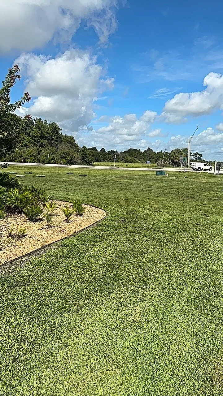 Commercial, HOA & Condo Landscaping service